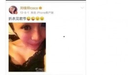 猫之城最新爆料视频网站,最新爆料视频网站带你探秘喵星人的网络世界