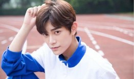 丁禹兮私下人品爆料娱乐圈,娱乐圈中的清新典范