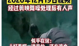 西藏冒险王近期爆料视频,探寻神秘高原的惊险历程